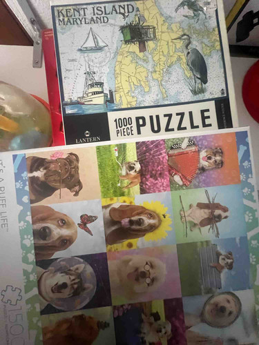 Photo of Little Angles Early Learning Childcare - Kent, WA