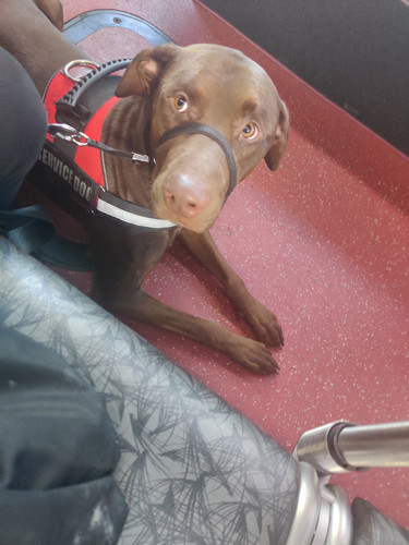 Photo of Lauren W. - North Bend, WA