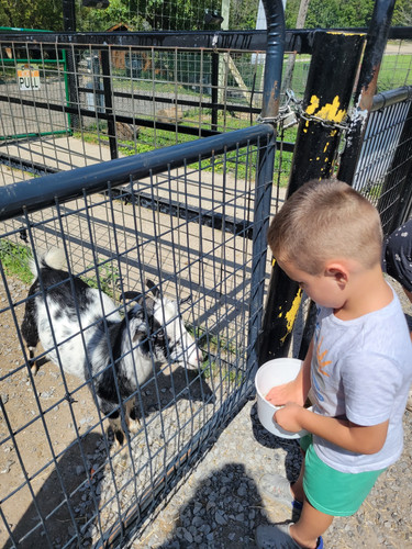 Photo of Poo Bear Daycare - Rochester, NY