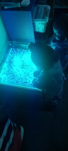 Photo of Donna's Kiddy Kare - Oakland, CA