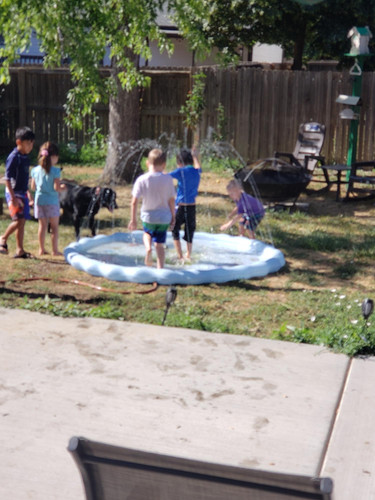 Photo of Totally Kids - Aurora, CO