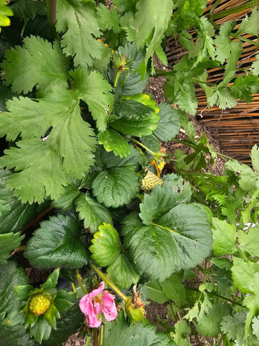 Photo of Wonder World Preschool And Daycare - Los Angeles, CA