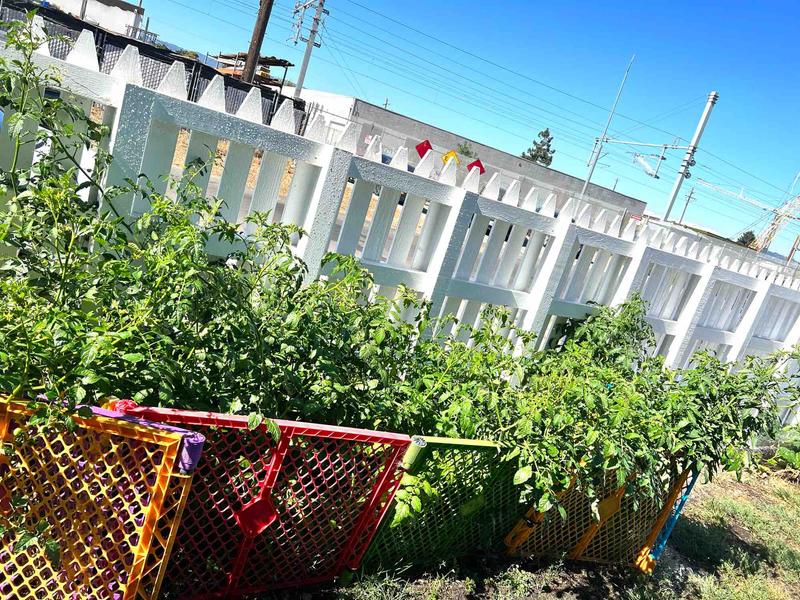 Photo of Little Rainbow Child Care - Redwood City, CA