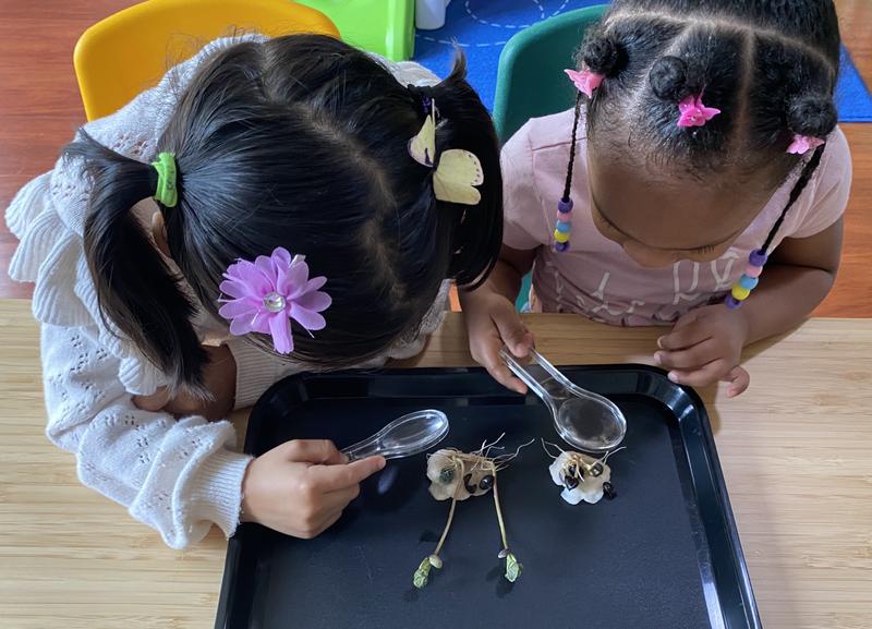 Photo of Kids Of The King Daycare