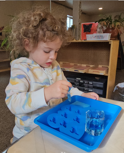 Photo of Stepping Stones In Kamas - Kamas, UT