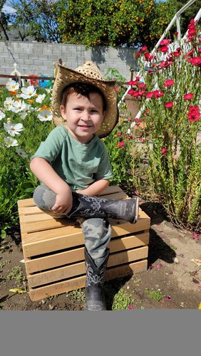 Photo of Wonder Place Daycare - Reseda, CA