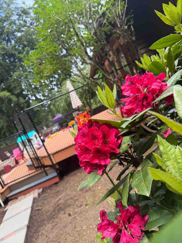 Photo of Bunny Step Childcare - Renton, WA