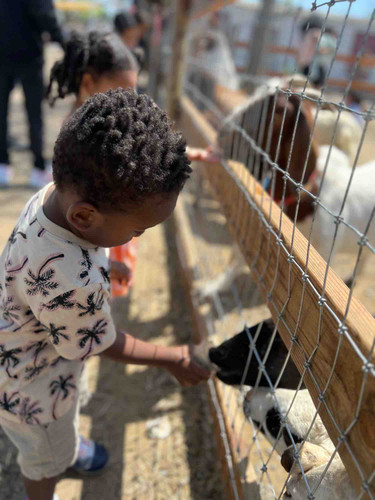 Photo of Palmer Family Childcare Daycare - Paramount, CA