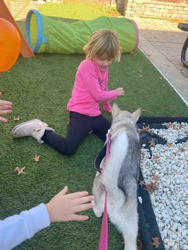 Photo of Little Stars Daycare - North Highlands, CA