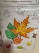 Photo of Mama Musa Childcare Daycare