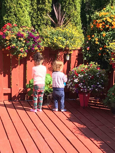 Photo of International Child Care Daycare - Beaverton, OR