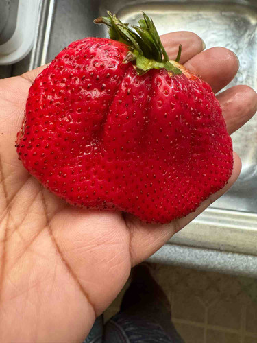 Photo of Angie's Childcare - Lanham, MD