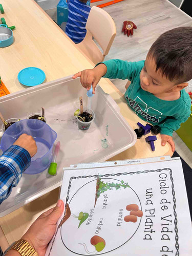 Photo of Blossom Child Care Daycare - Beaverton, OR