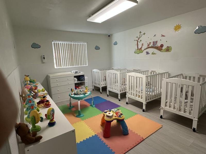 Photo of Happy Little Crabs - Miami, FL