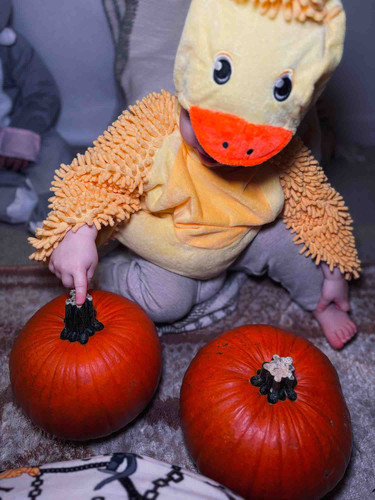 Photo of Little Hands Big Hearts - Seatlle, WA