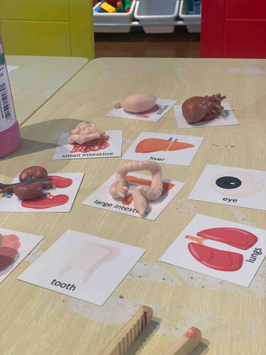 Photo of Happy Orchard Daycare - Irvine, CA