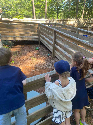 Photo of AFREYA’S Playground - Cary, NC