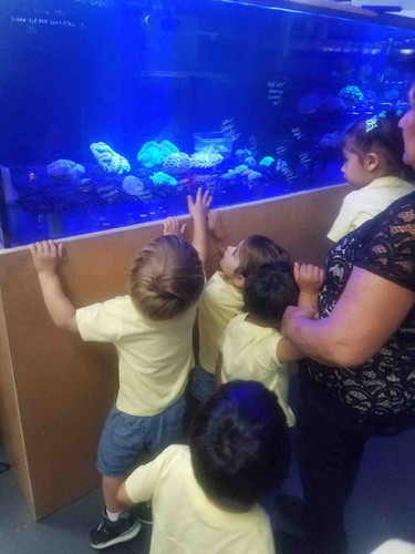 Photo of Veronica Fcc Aka Abc Learning Tree Daycare - Simi Valley, CA