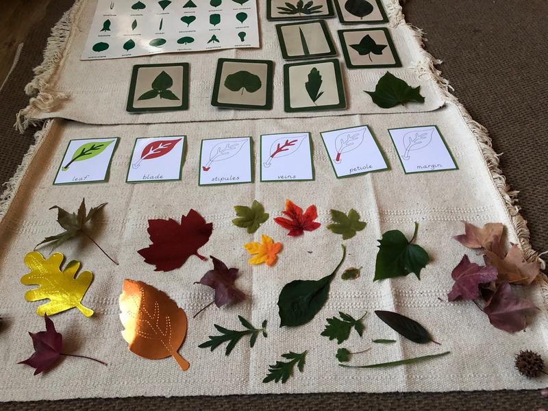 Photo of Daffodils Montessori Daycare - San Diego, CA