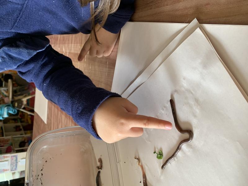 Photo of Skeyci Children Programs Daycare - Castro Valley, CA