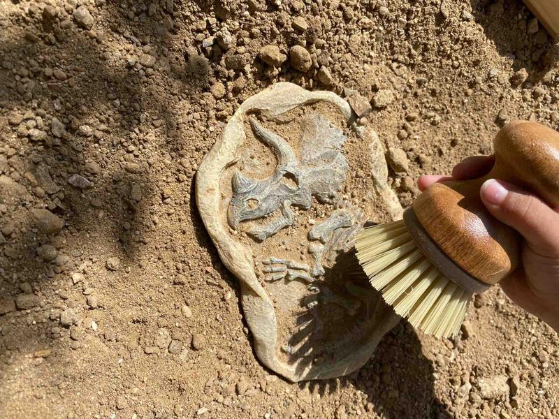 Photo of Sandyland Kids Daycare - Corona, CA