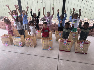 Photo of Little Bee Explores