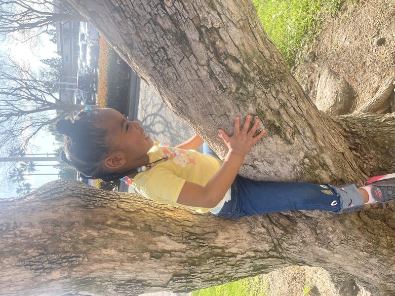 Photo of Silly Little Genius Daycare - Fullerton, CA