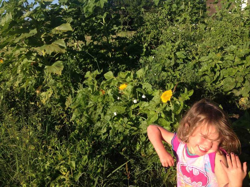 Photo of Growing Wild Daycare - Tenstrike, MN