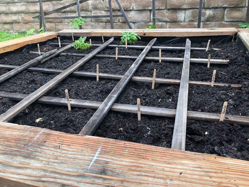 Photo of Mother Duck  Daycare - West Hills, CA