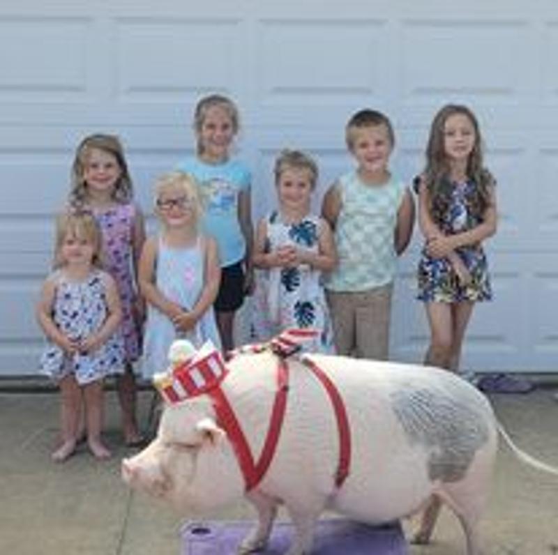 Photo of Learning Wagon Preschool And Chilcare LLC - Rockland, WI