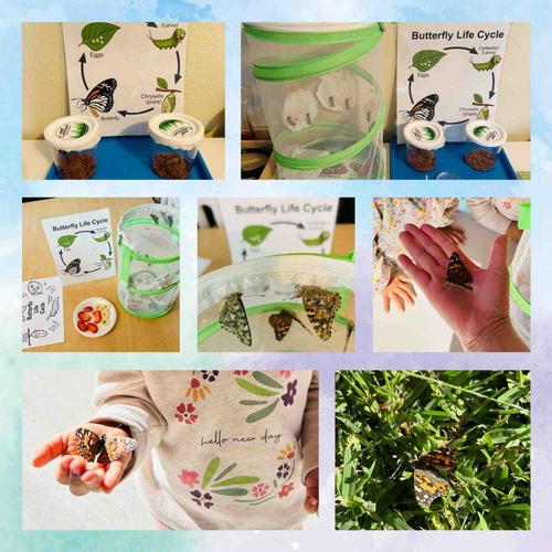 Photo of Francis Home Daycare - San Jose, CA