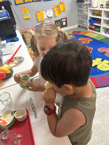 Photo of Little Ivies Montessori - Plano, TX