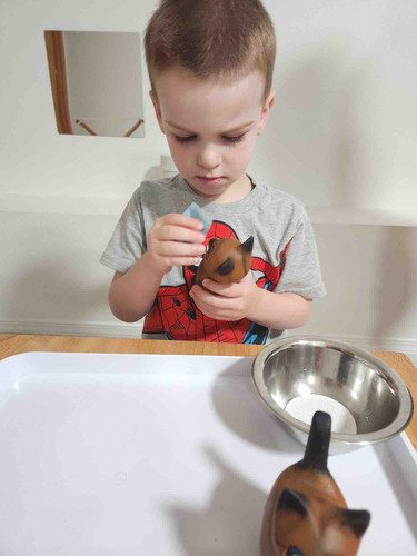 Photo of Little Genius Bilingual Childcare & Preschool Daycare - Tigard, OR