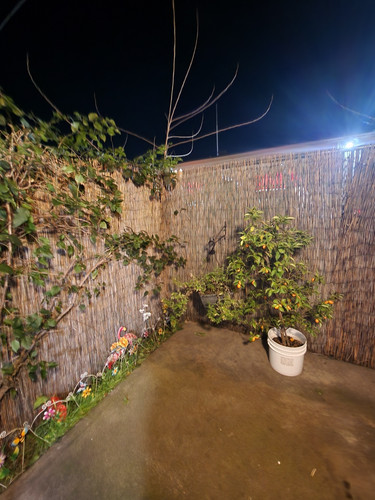 Photo of Faryadi, Razia Daycare - Sacramento, CA