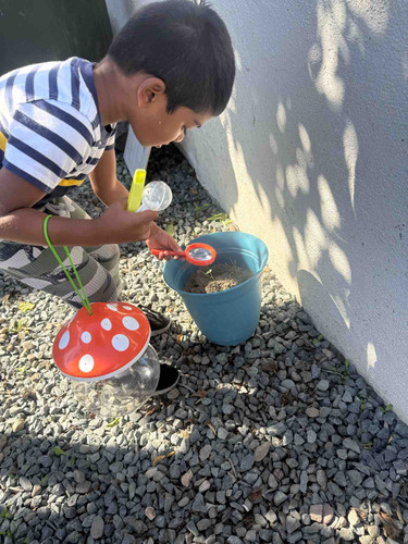 Photo of Tiny Bubbles - Bellflower, CA