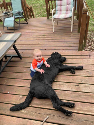 Photo of Melanie G. - Orinda, TX