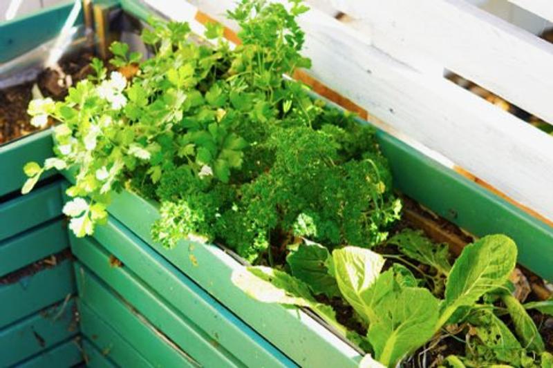 Photo of Little Tribe Daycare - Sunnyvale, CA