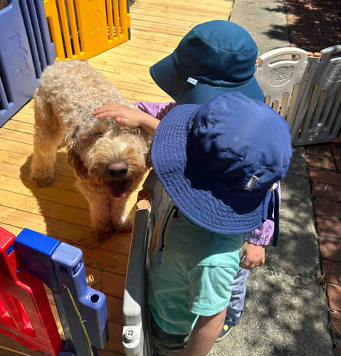 Photo of Sol Y Luna Daycare - San Jose, CA