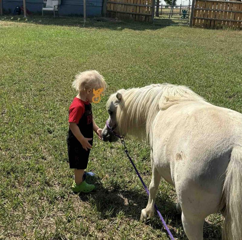 Photo of Little Wiggles Daycare - Elizabeth, CO
