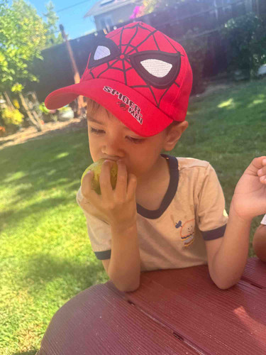 Photo of Apple Tree  Montessori Home Preschool & Childcare - San Jose, CA