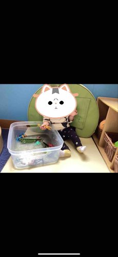 Photo of Kelly Wren - Irvine, CA