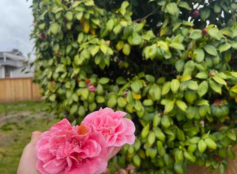 Photo of Welcome Caring Home Child Care - Auburn, WA