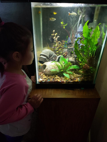 Photo of Nanee's House Daycare - Springfield, MI