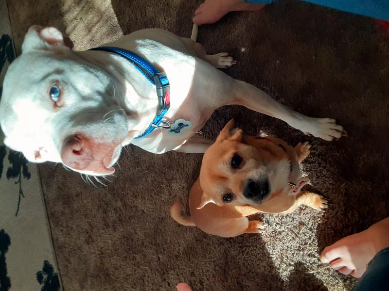 Photo of Brandi S. - Longview, WA