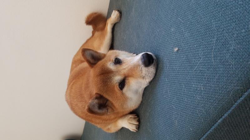 Photo of WeeWorld Demo Daycare - Marina Del Rey, CA