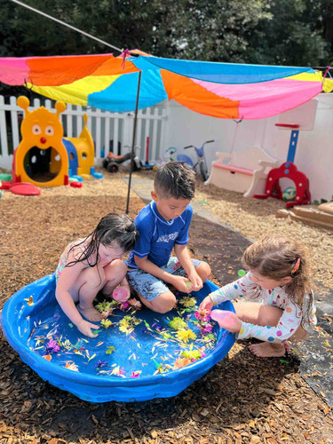 Photo of Treehouse Daycare - Norwood, MA