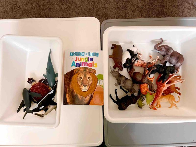 Photo of Little Hands Big Hearts - Seatlle, WA