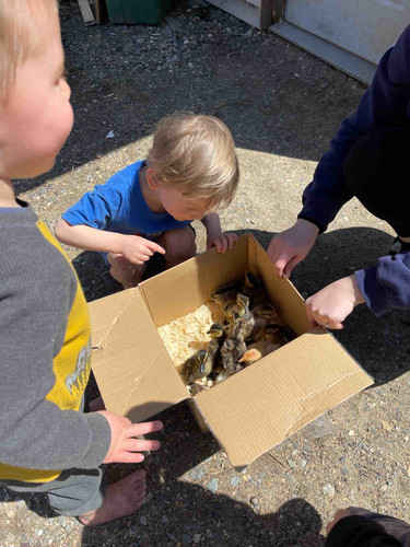 Photo of Growing Wild Daycare - Tenstrike, MN
