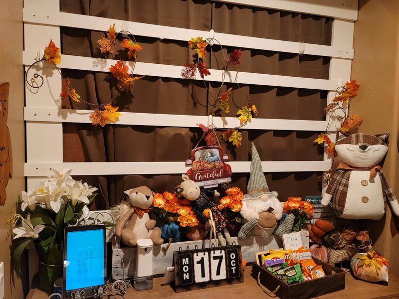 Photo of Ruckus Kids Preschool Childcare Daycare - Gilbert, AZ