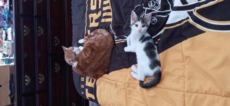 Photo of Shanntel M. - North Olmsted, OH